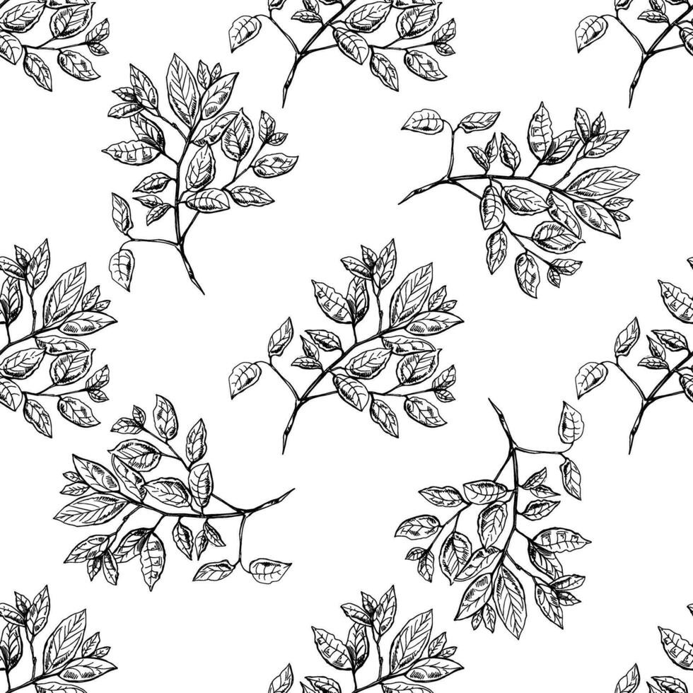 Seamless pattern of  hand-drawn brunch with leaves. Doodle leaf. Eco concept. Black-and-white illustration in sketch style. Vintage. vector