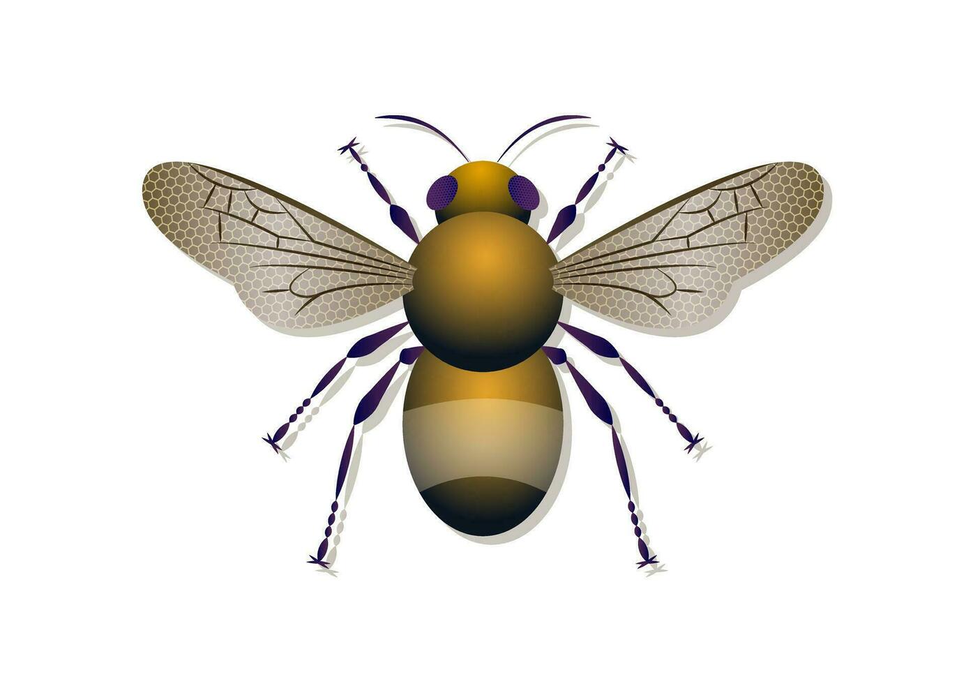 Bee Vector Art Isolated on White Background