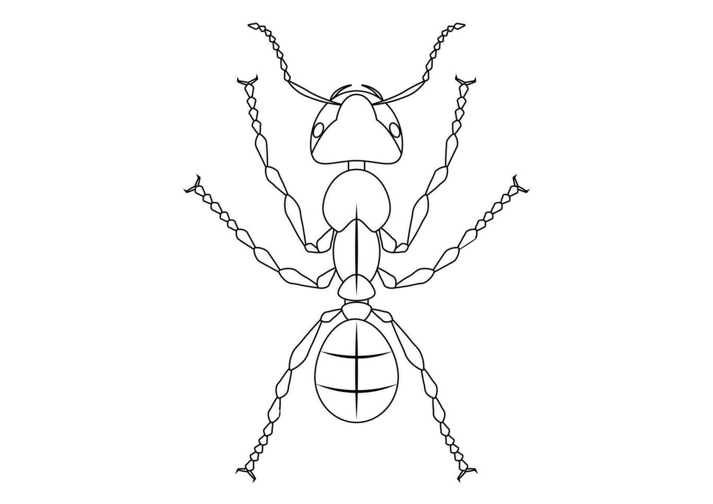 Black and White Ant Clipart. Coloring Page of Ant vector