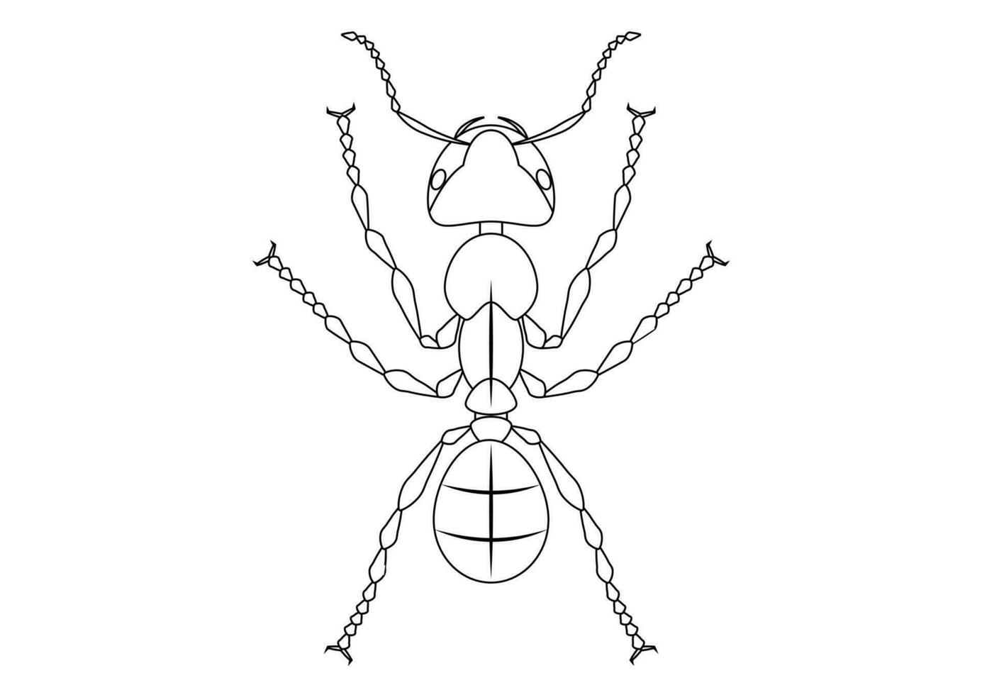 Black and White Ant Clipart. Coloring Page of Ant vector