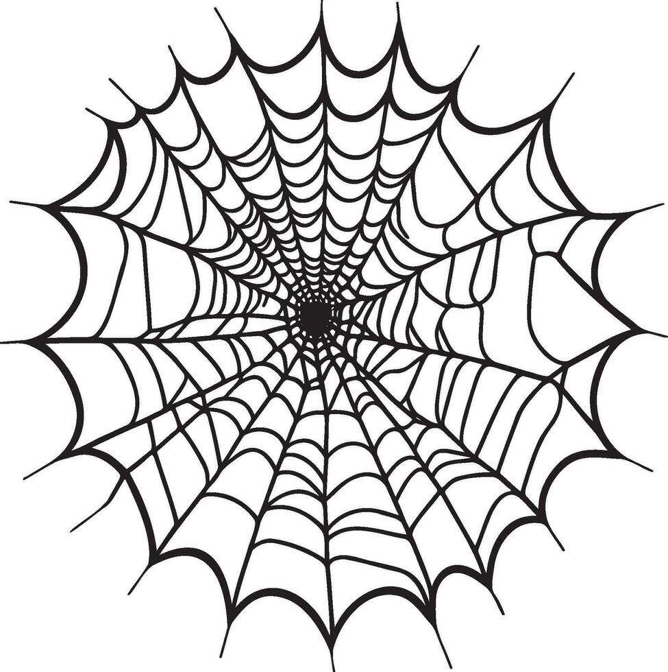 Black Spider Web Of Halloween Vector