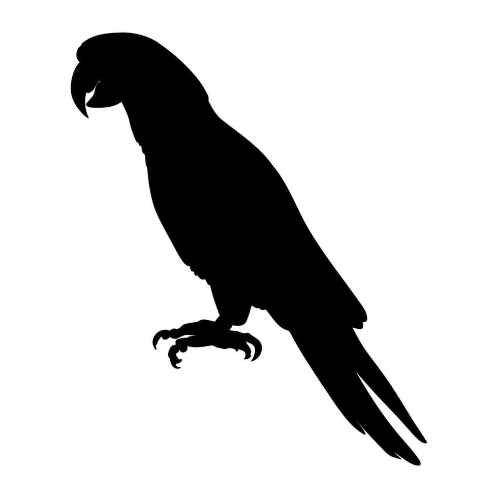 Parrot  standing silhouette. Vector illustration