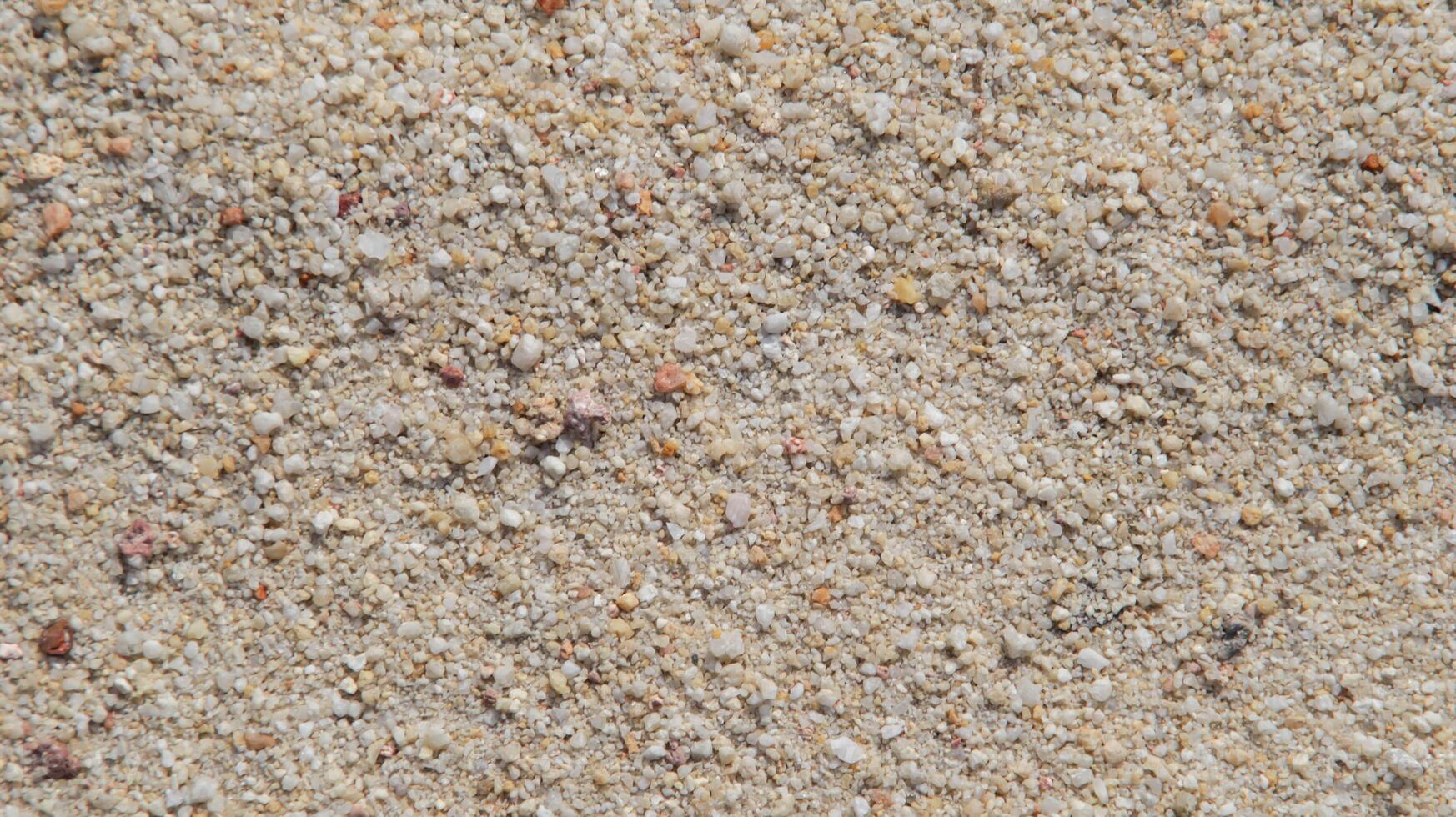 Beach coarse white sand texture and backdrop. photo