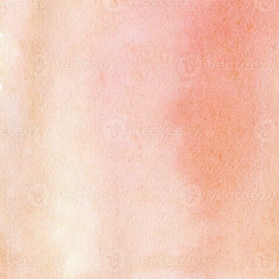 Peach watercolor background . watercolor illustration photo