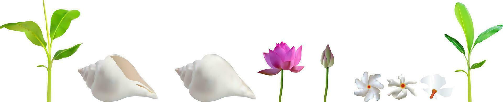 Durga Puja Flower Lotus Flower, Shiuli Flower, Banana Tree Traditional Indian, Marigold Flower, conch shell, vector