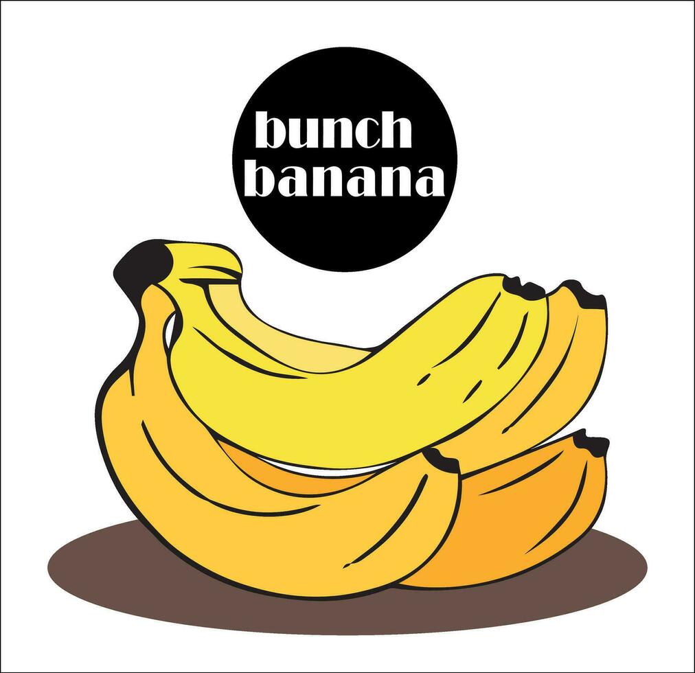 manojo de cuatro Fresco delicioso bananas en amarillo pelar aislado en blanco antecedentes. vector