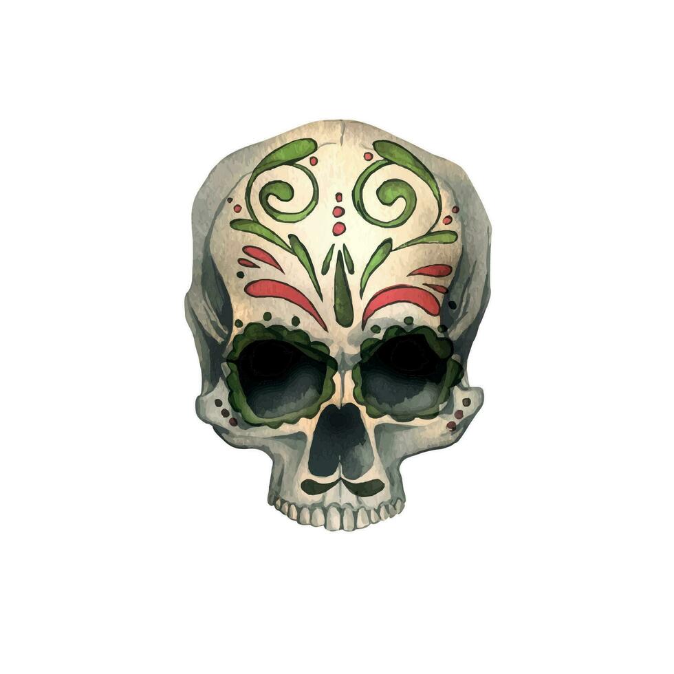 humano cráneo frente ver con de colores adornos mano dibujado acuarela ilustración para Víspera de Todos los Santos, día de el muerto, dia Delaware los muertos. aislado objeto en un blanco antecedentes vector