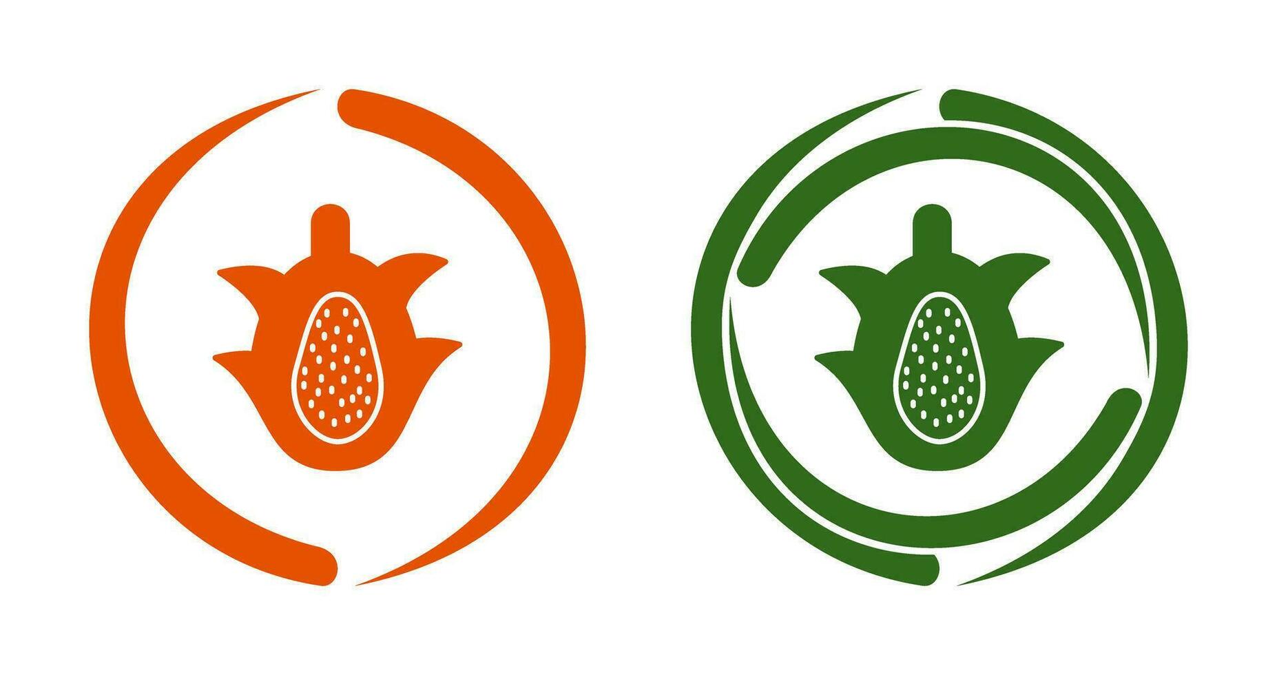 Dragon Fruit Vector Icon