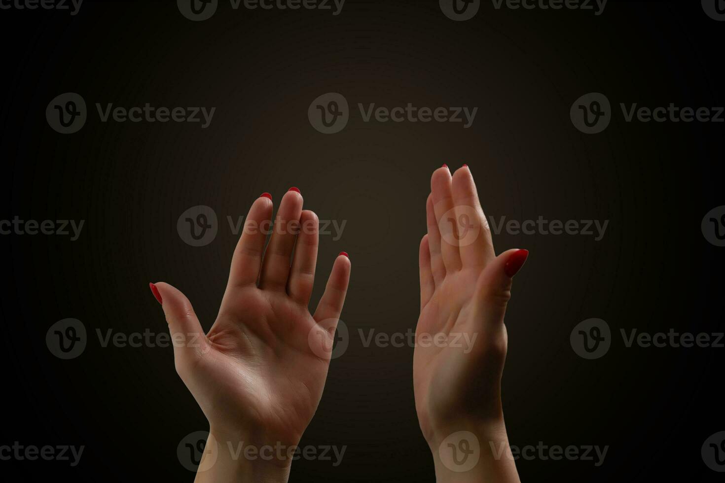 Woman's hands praying against a white background photo
