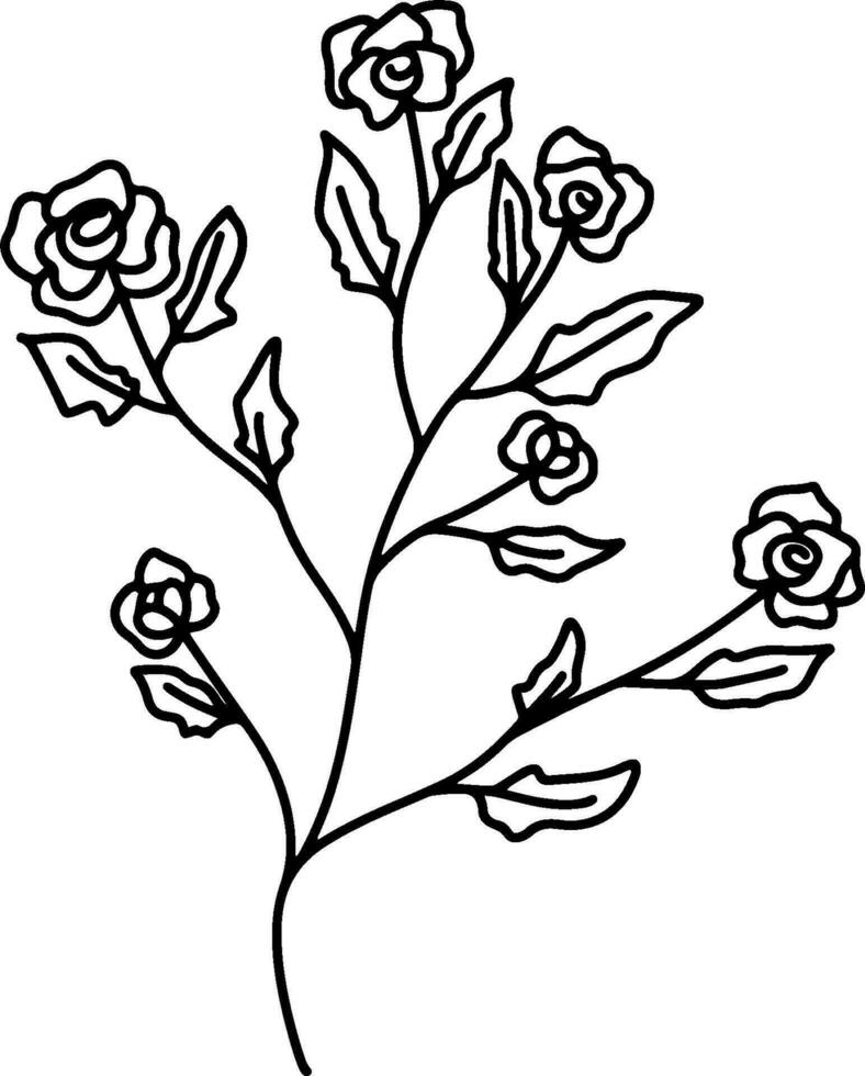 botanical line art vector