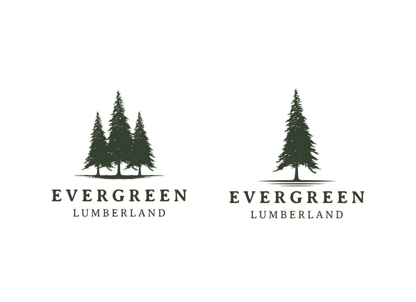 pine evergreen fir hemlock spruce conifer cedar coniferous cypress larch pinus tree forest vintage retro hipster line art Logo design vector