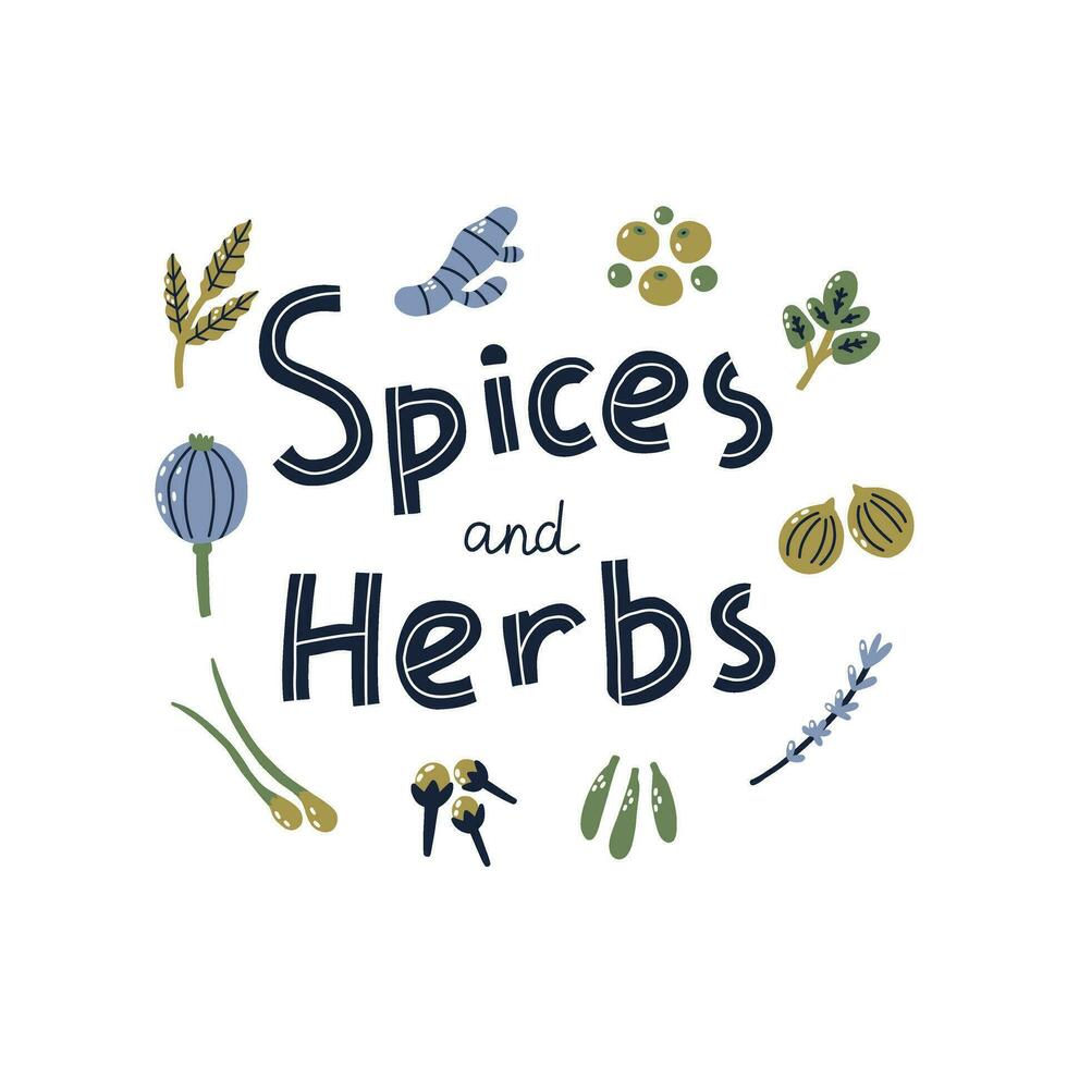 Hand Drawn Spice and Herb Ornament vector
