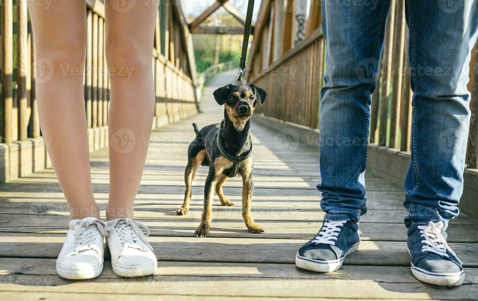 Dog between legs of couple on a bridge photo