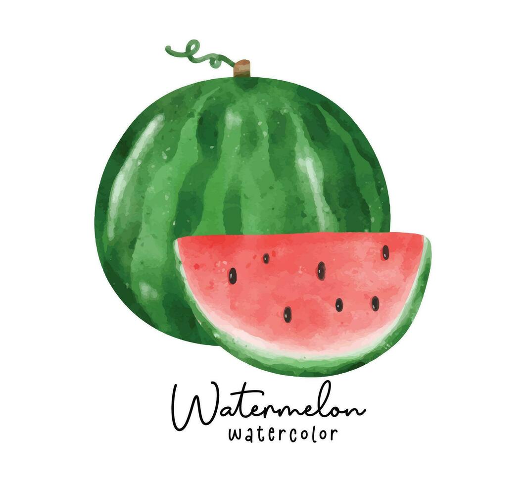 Cute Watermelon Watercolor illustration. Fresh and Juicy summer fruit Illustrations vector