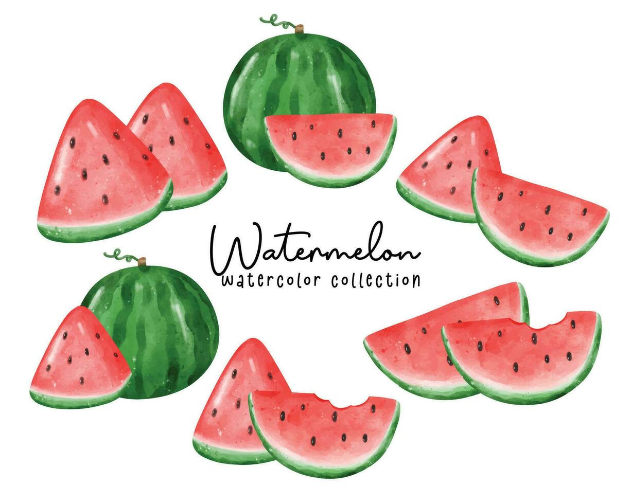 Cute Watermelon Watercolor illustration Collection. Fresh, Colorful, and Juicy Illustrations vector