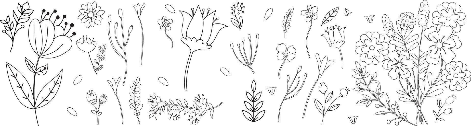 Set of floral branch and plants line art vector botanical illustrations, Trendy greenery hand-drawn black ink sketches collection