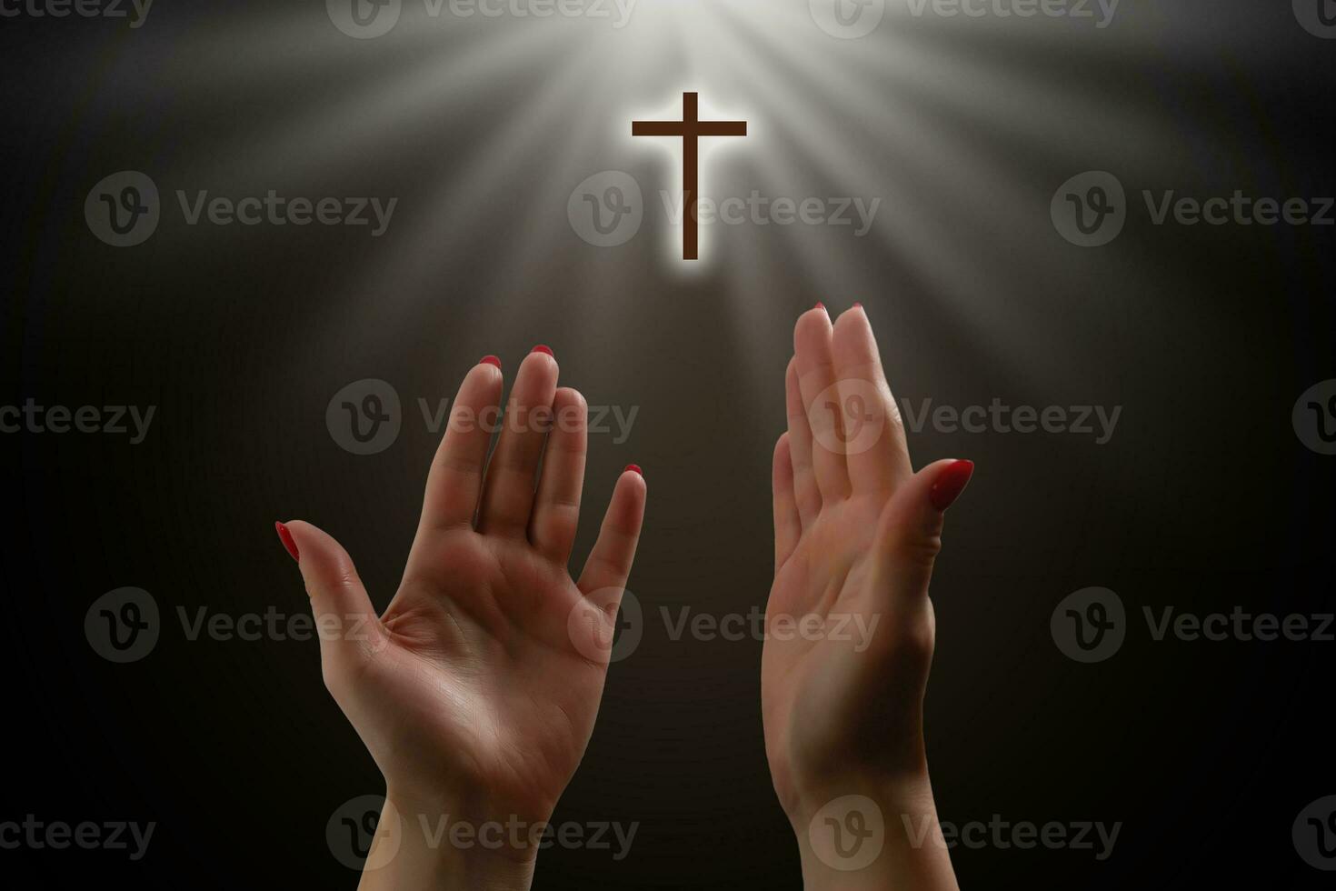 Woman's hands praying against a white background photo