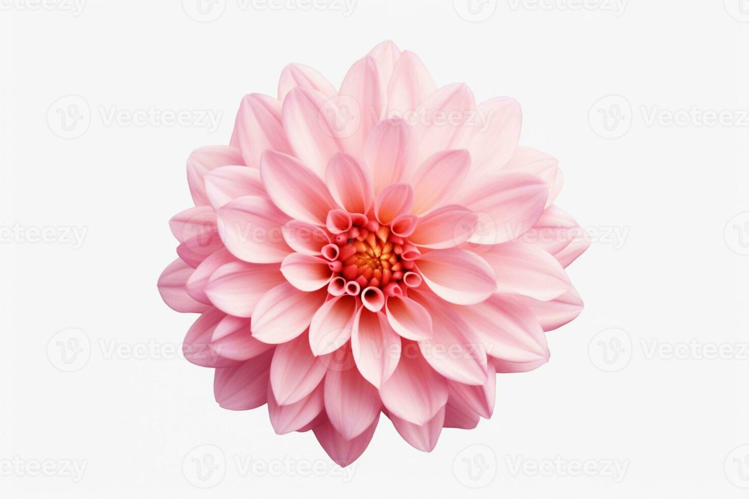 Flower on isolated White background ai generative photo