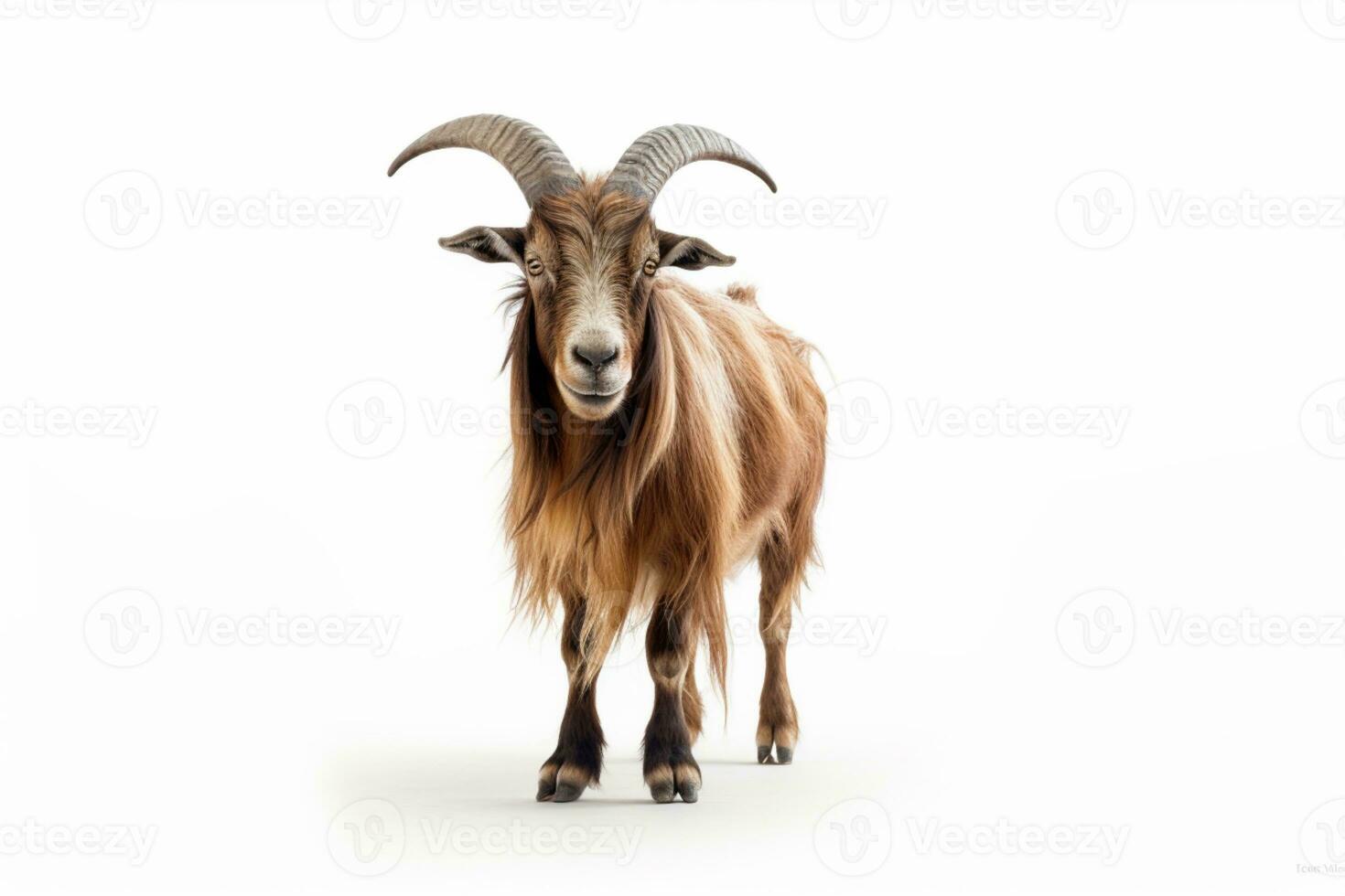 Goat on isolated White background ai generative photo