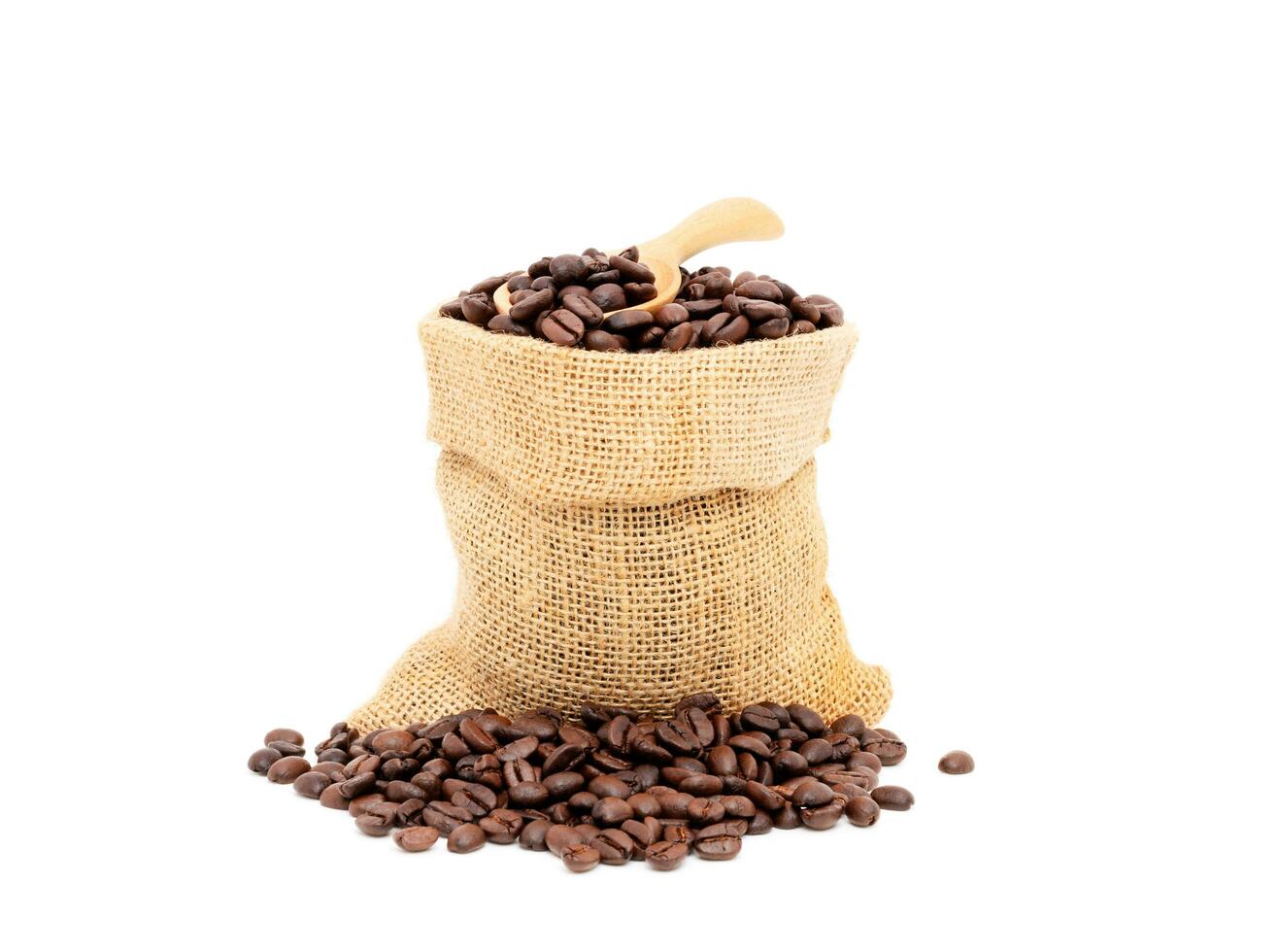 Heap of brown roasted coffee beans in burlap bags isolated on white background. fresh coffee beans concept photo