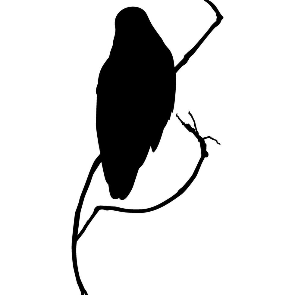 Bird Perched on the Branch of the Tree Silhouette. Vector Illustration