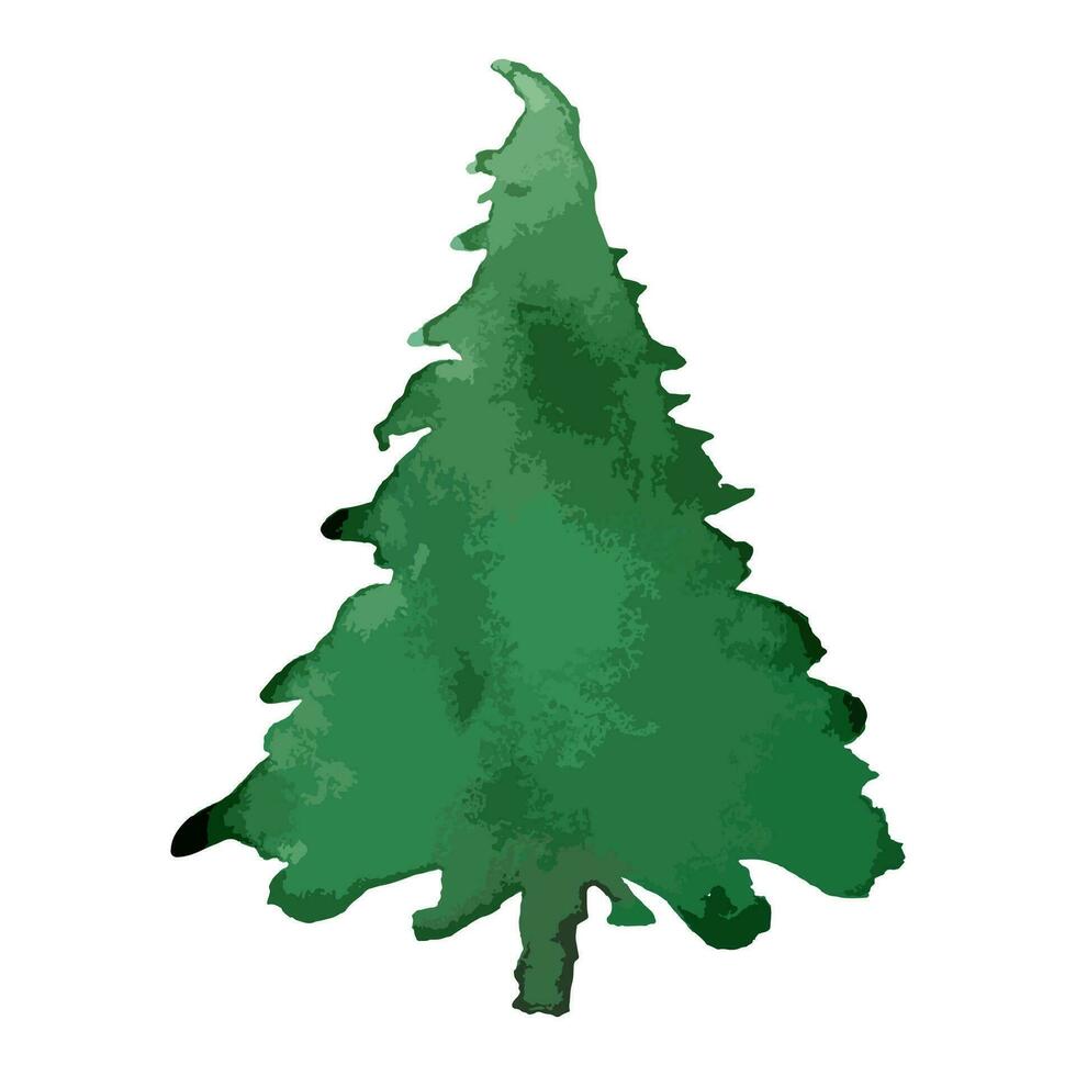 Christmas tree. Watercolor art. Vector evergreen tree illustration. Isolated new year.