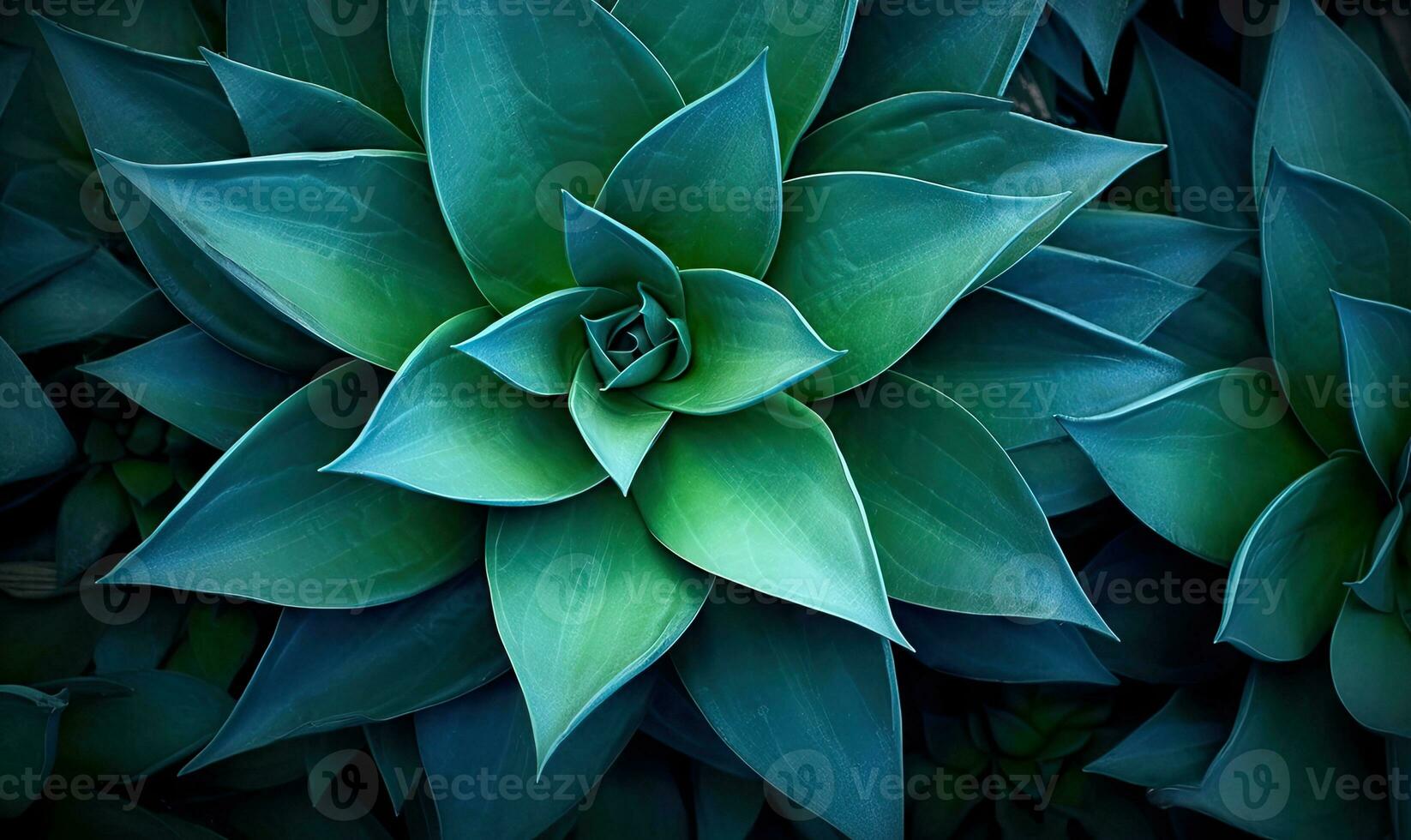 Tropical succulents wallpaper. Textured blue agave banner. For postcard, book illustration. Created with generative AI tools photo