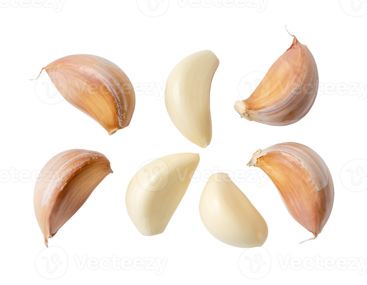 Top view of fresh garlic clove set in separation isolated with clipping path in png file format. helpful garlic cloves collection