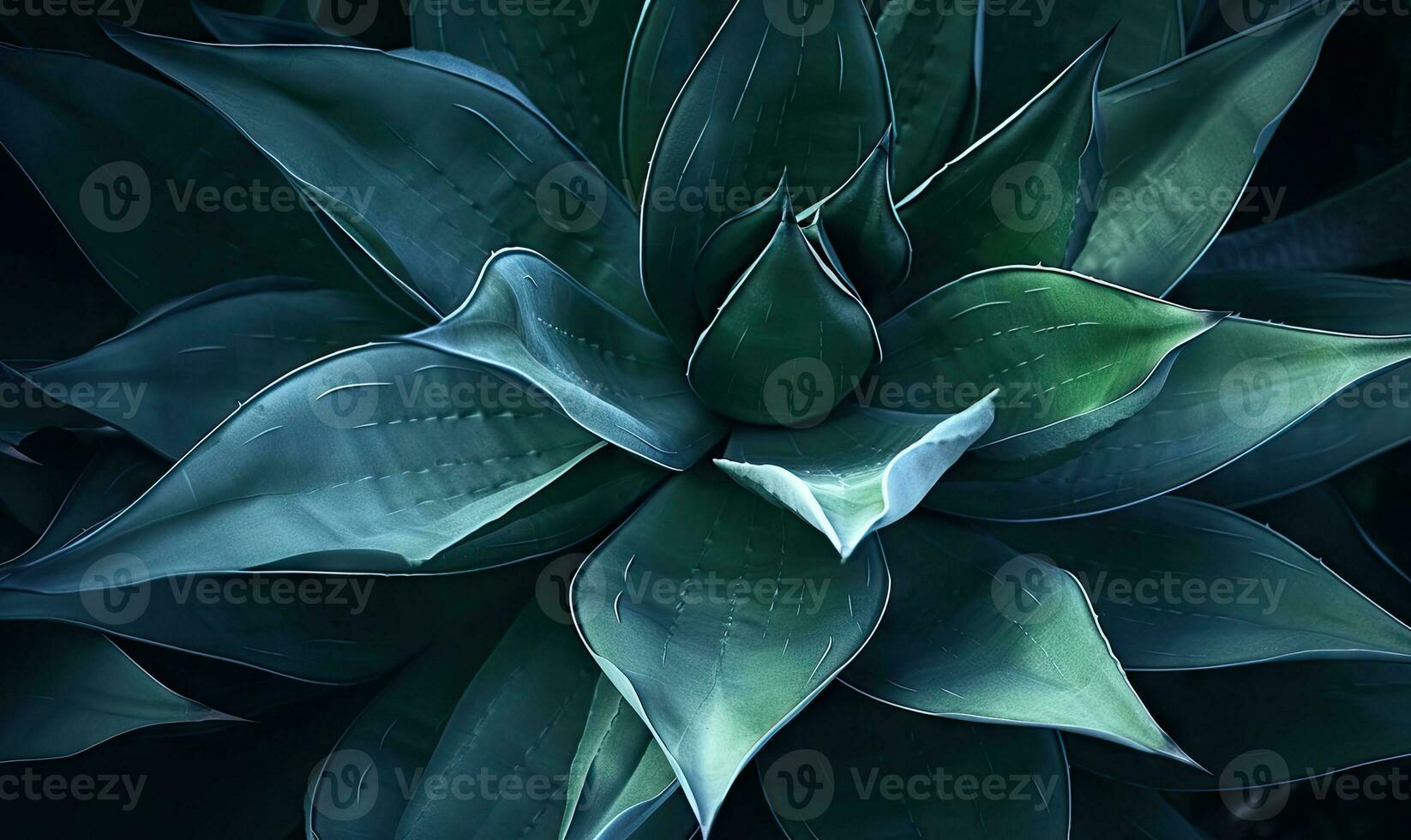 Tropical succulents wallpaper. Textured blue agave banner. For postcard, book illustration. Created with generative AI tools photo