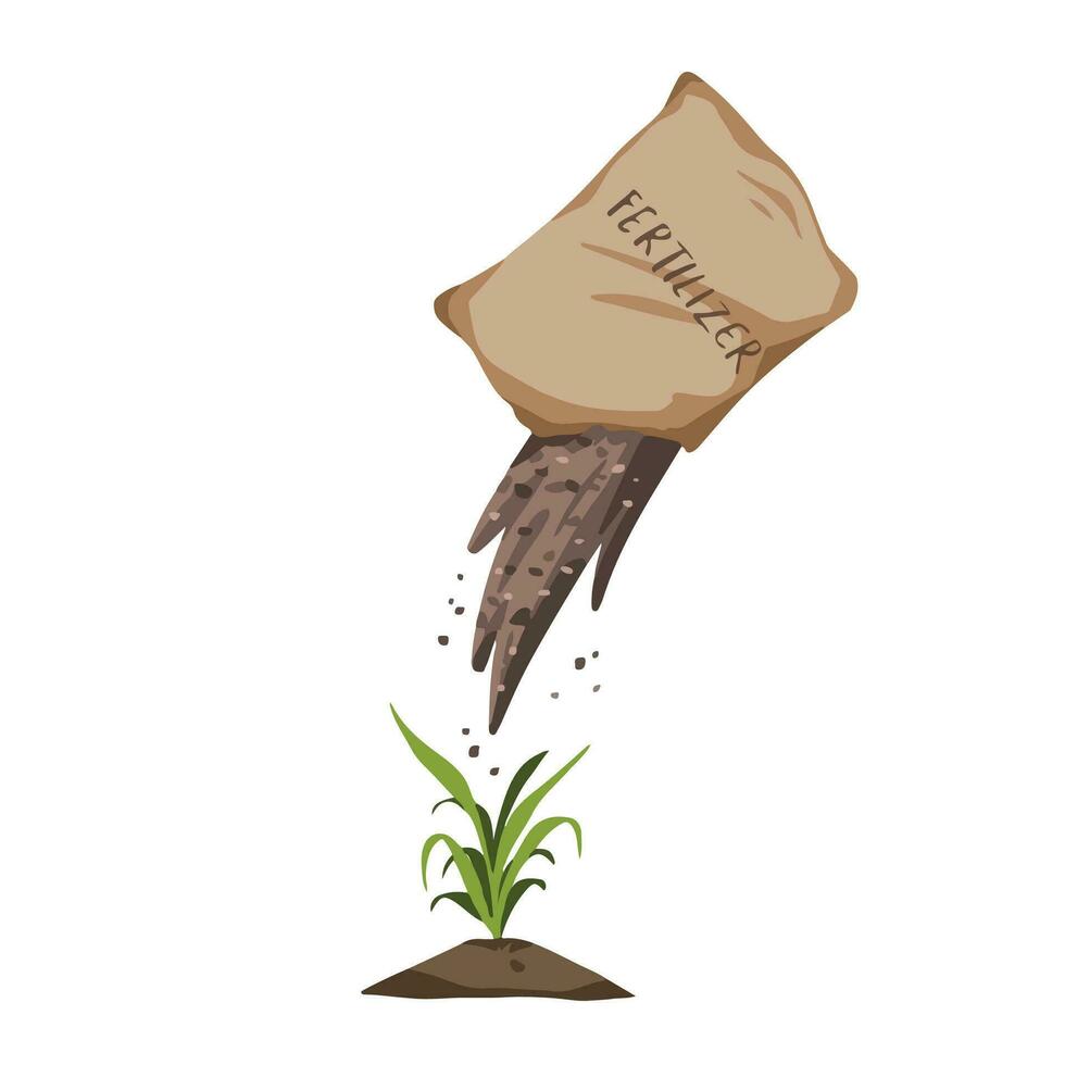 Pouring natural soil fertilizer into small growing plant vector illustration isolated on square white background. Simple flat cartoon art styled drawing.