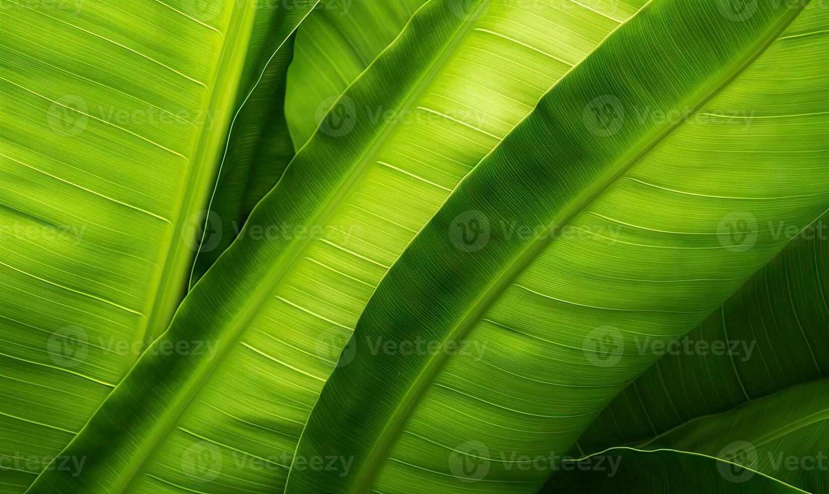 Leaves macro of wallpaper. Wet tropical plant background. For banner, postcard, book illustration. Created with generative AI tools photo