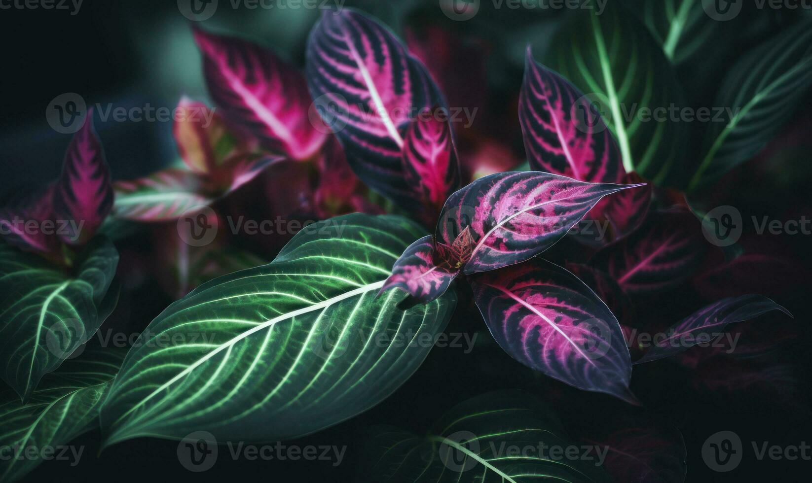 Tropical leaves in neon pink light wallpaper. Exotic foliage background. Natural textured. For postcard, book illustration. Created with generative AI tools photo