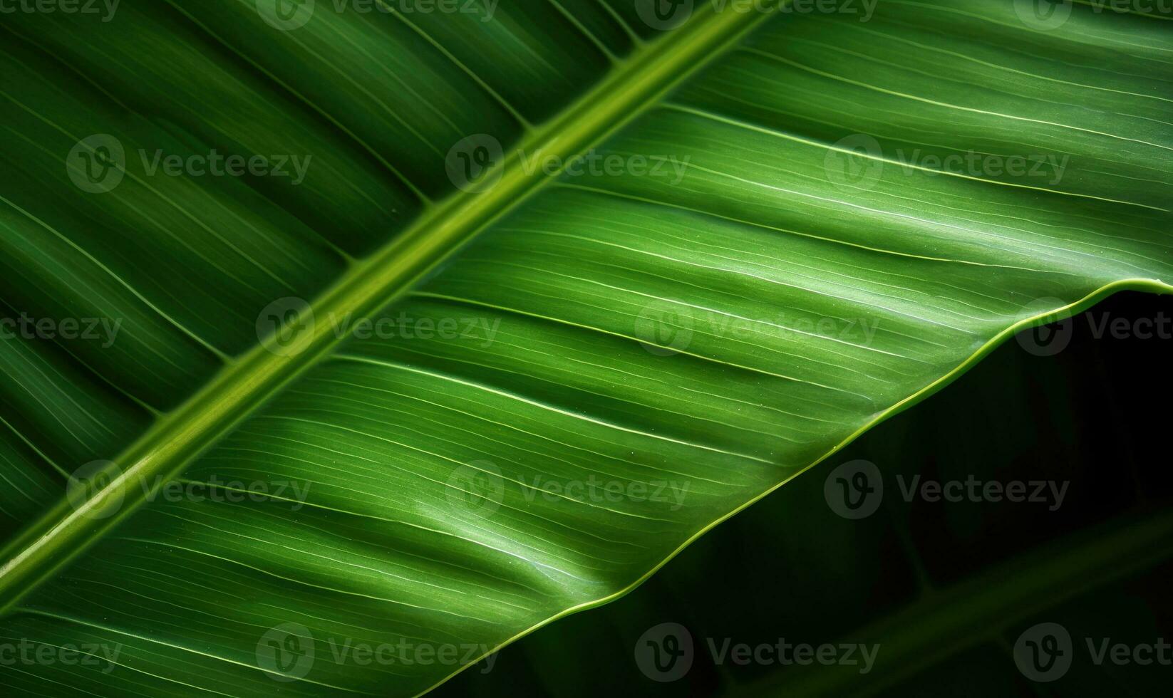 Leaves macro of wallpaper. Wet tropical plant background. For banner, postcard, book illustration. Created with generative AI tools photo