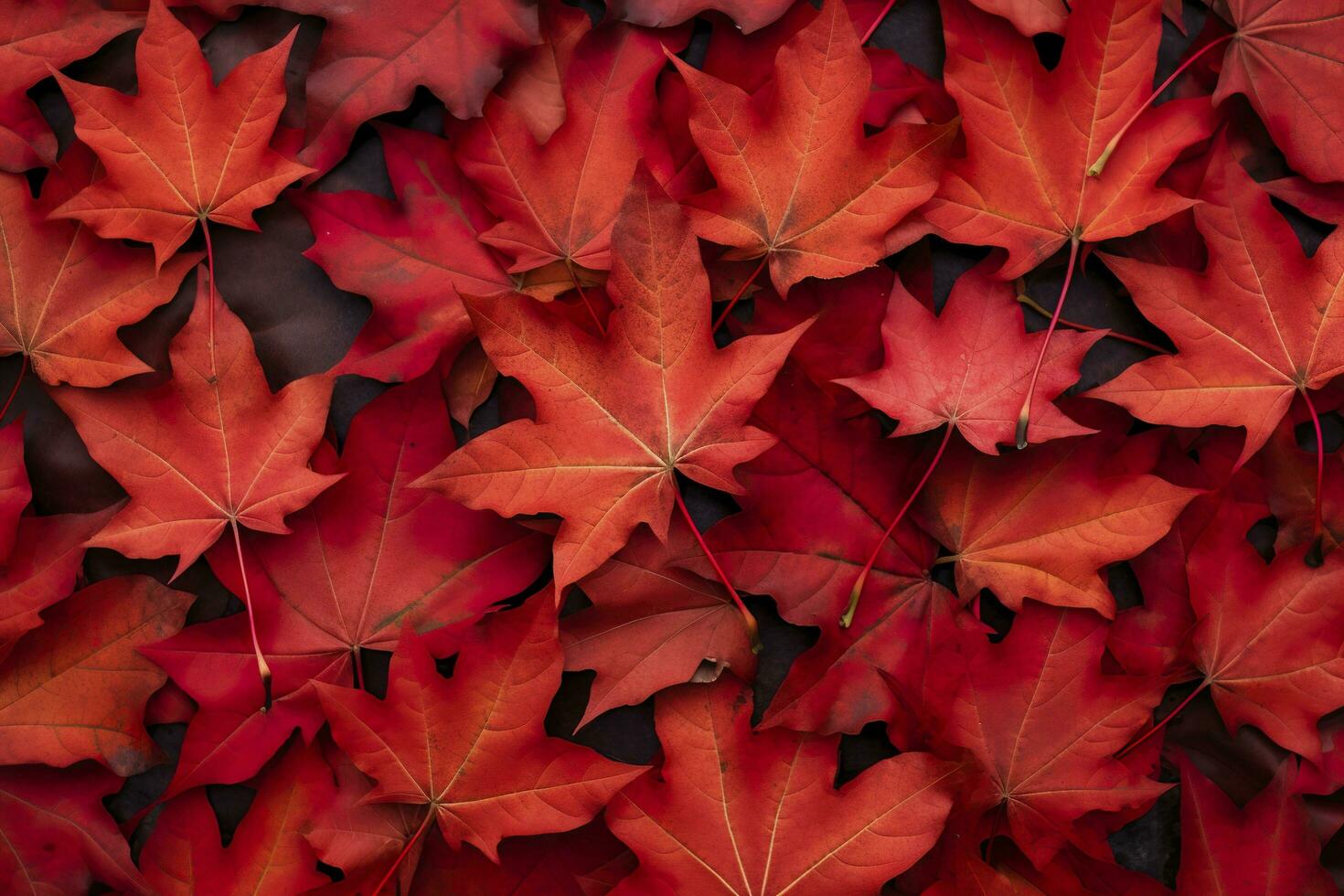 Wine red autumn leaves texture, fall nature background,  AI Generative photo
