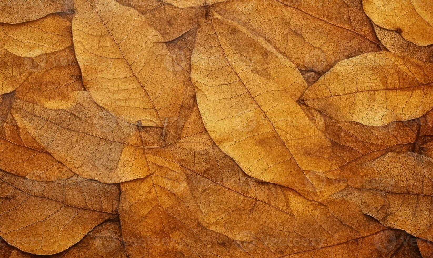 Close-up autumn dry leaf textured wallpaper. Created with AI tools photo