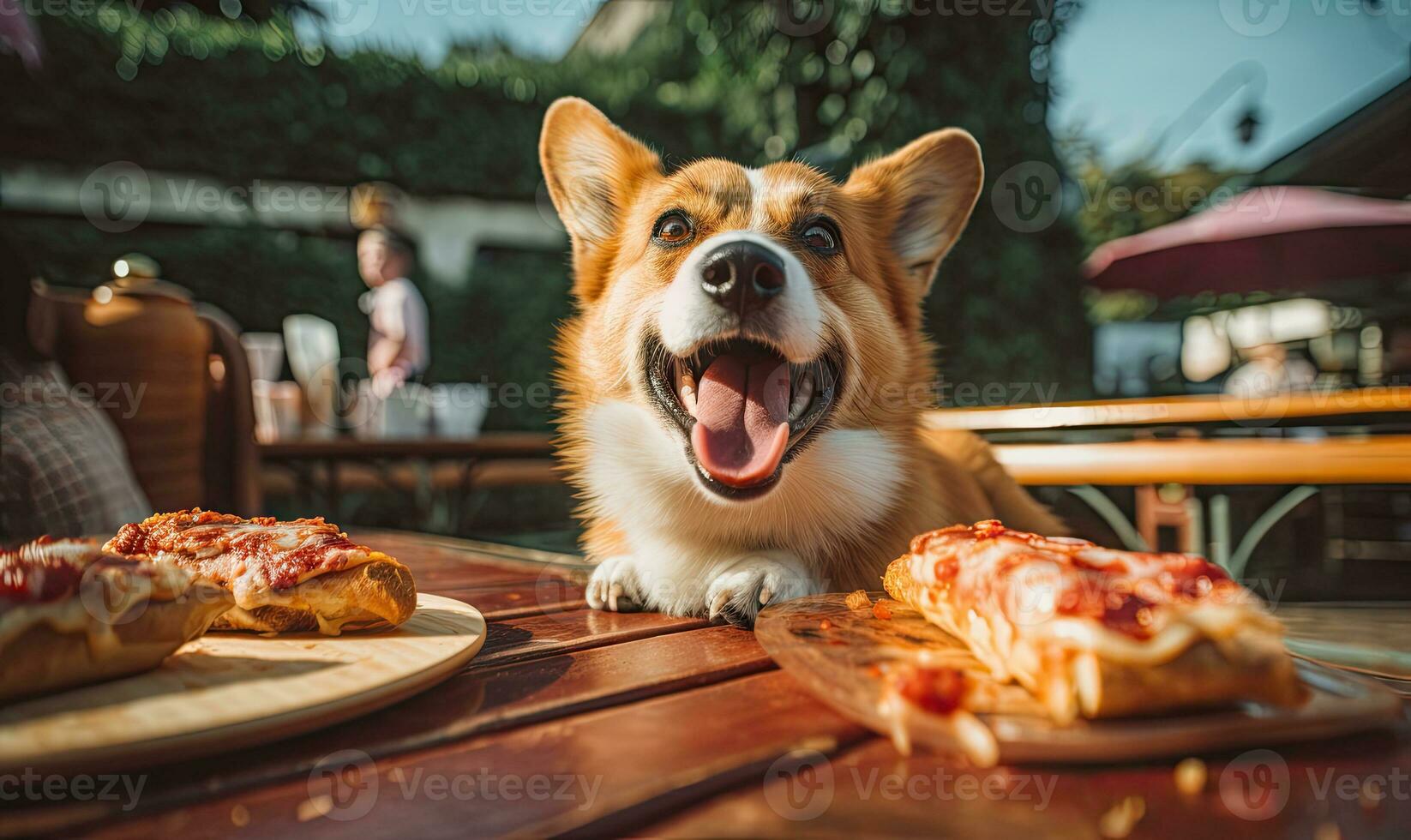 Playful corgi indulging in an unexpected treat. Created with generative AI tools photo