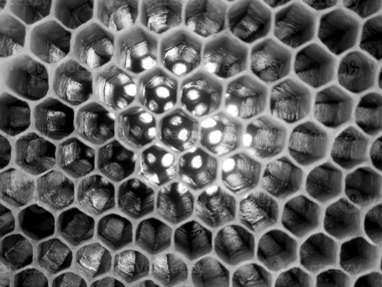 Abstract hexagon structure is honeycomb from bee hive photo