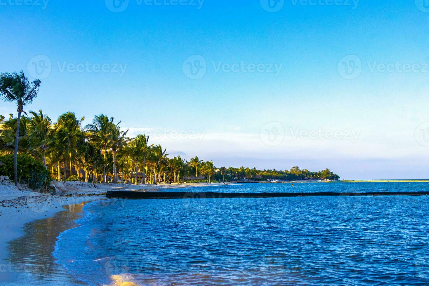 Tropical mexican beach clear turquoise water Playa del Carmen Mexico. photo