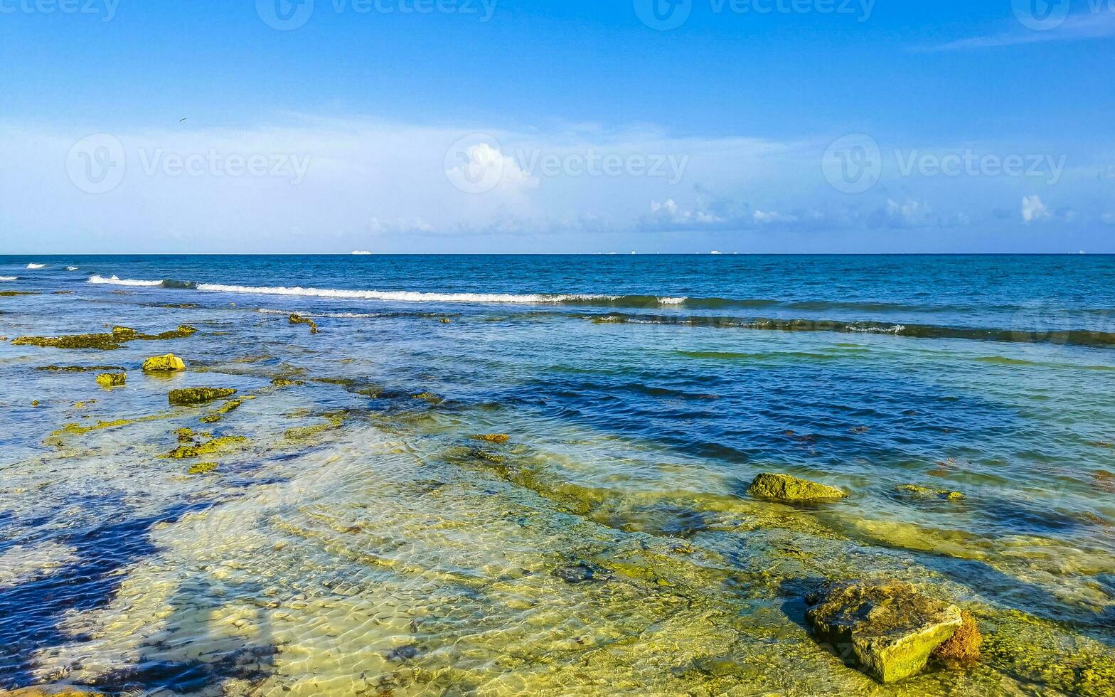 Stones rocks corals turquoise green blue water on beach Mexico. photo