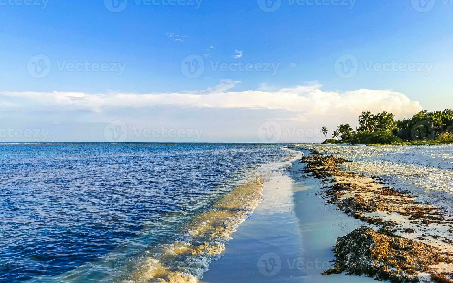 Tropical mexican beach clear turquoise water Playa del Carmen Mexico. photo
