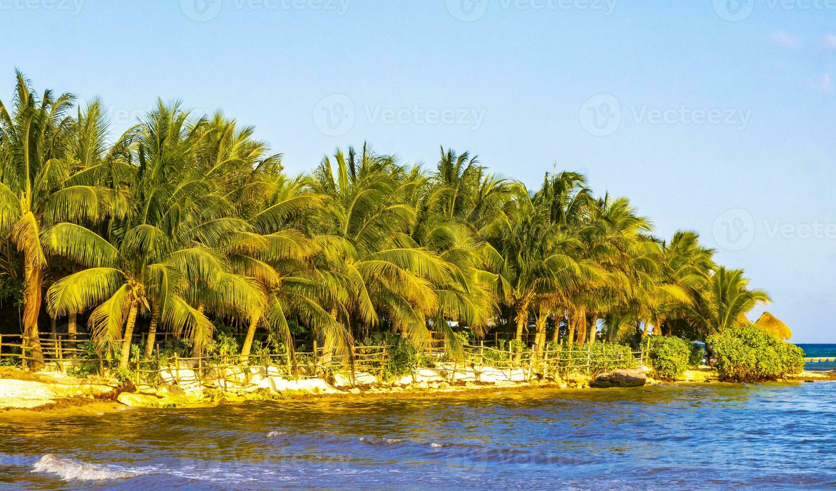 Tropical mexican beach clear turquoise water Playa del Carmen Mexico. photo
