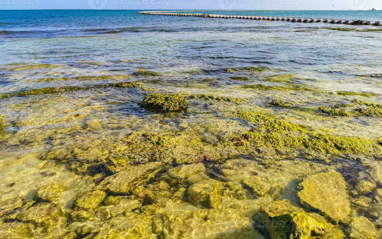 Stones rocks corals turquoise green blue water on beach Mexico. photo