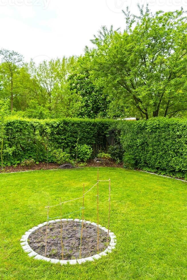 Garden with round beds soil young sprouts plants in Germany. photo