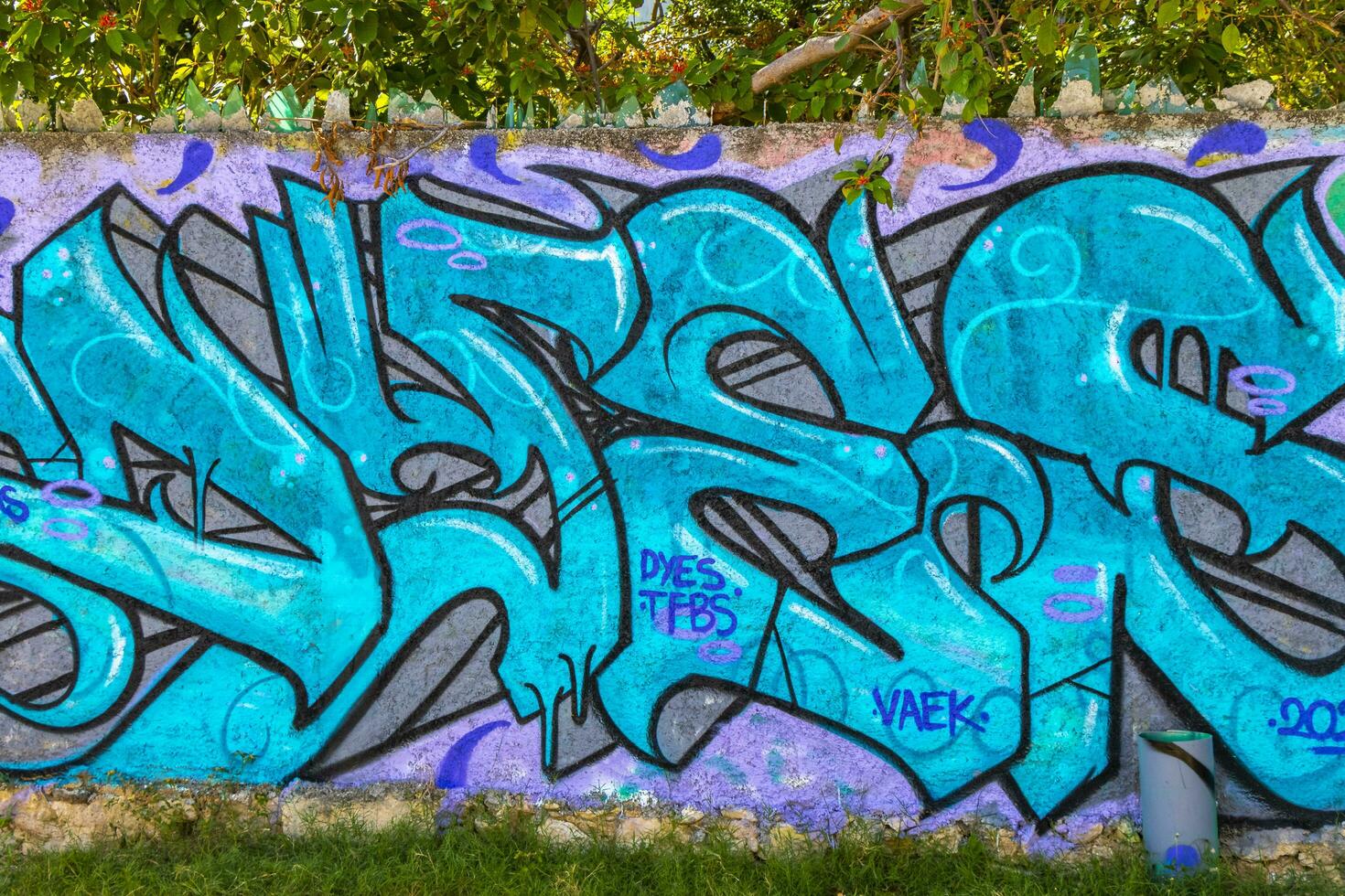Playa del Carmen Quintana Roo Mexico 2021 Artistic walls with paintings and graffiti Playa del Carmen Mexico. photo