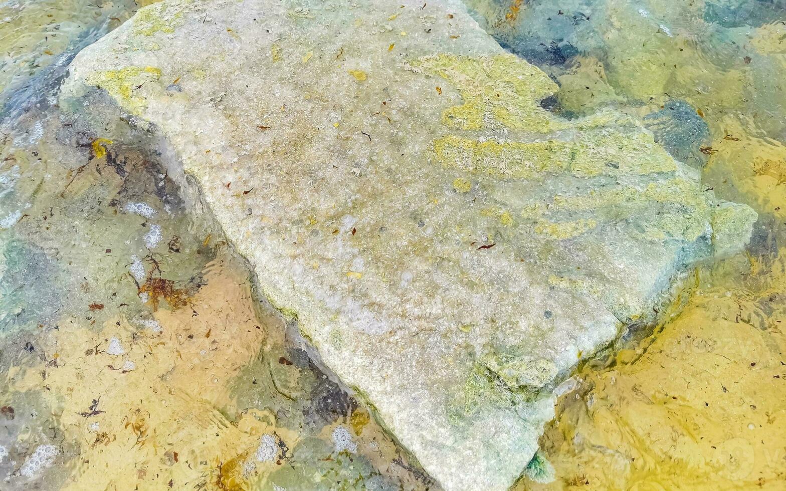 Stones rocks corals turquoise green blue water on beach Mexico. photo