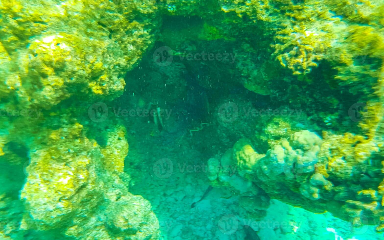Snorkeling underwater views fish Corals turquoise water Rasdhoo island Maldives. photo