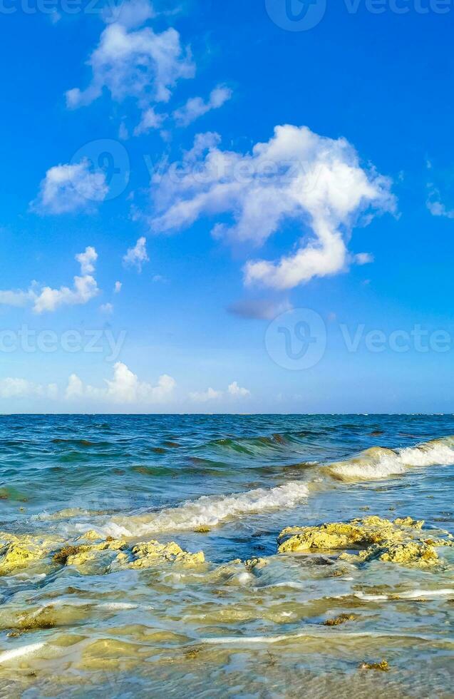 Stones rocks corals turquoise green blue water on beach Mexico. photo