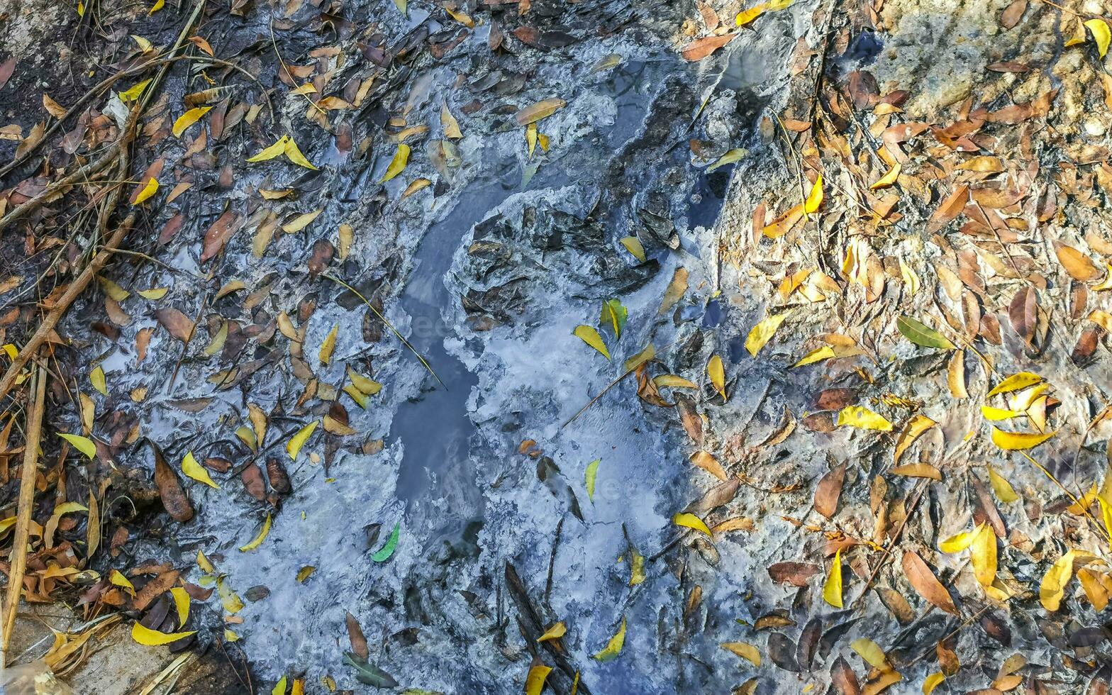 abierto alcantarillado sistema en el tropical selva montañas México. foto