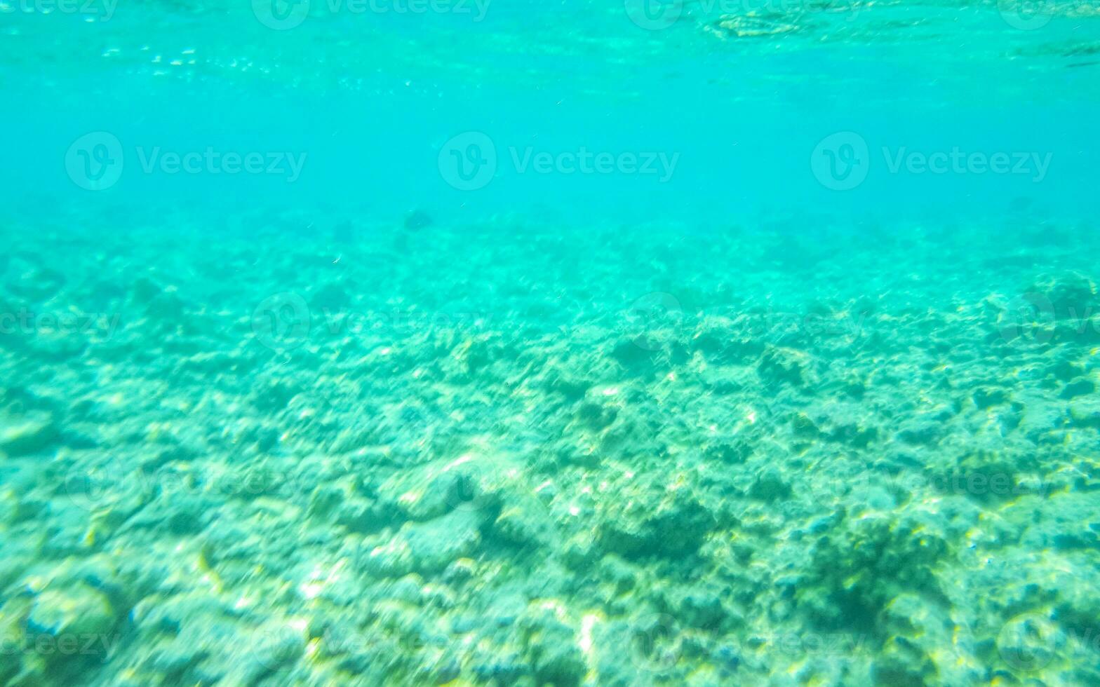 Snorkeling underwater views fish Corals turquoise water Rasdhoo island Maldives. photo