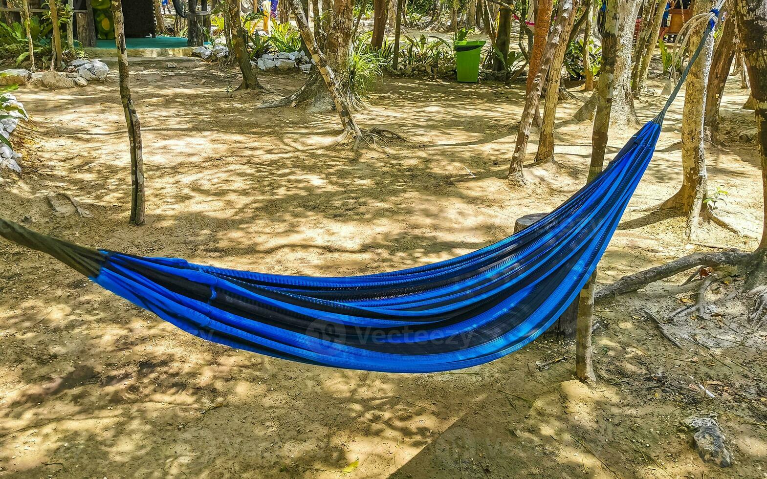 Colorful hammocks in Mexican tropical jungle forest in Tulum Mexico. photo